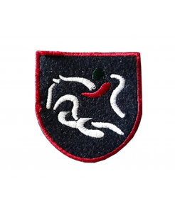 Emblema Cavalos